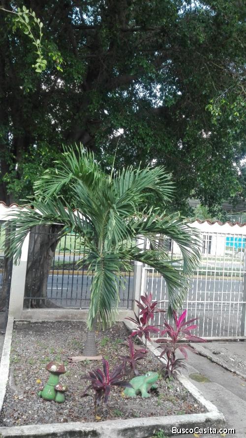 Naguamagua, Urbanizacion Los Guayabitoa