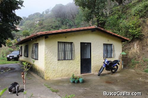 Se Vende Casa de Campo con Terreno Fértil En Mérida