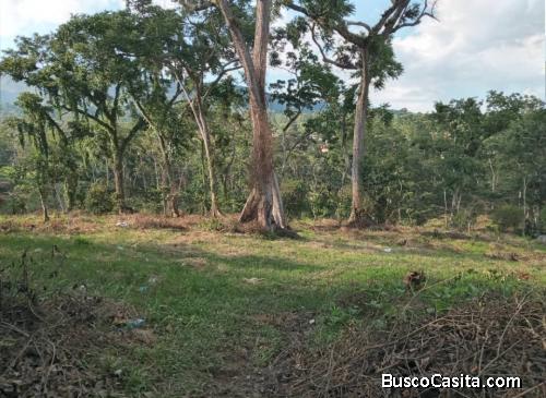 Se vende terreno 1 Hectarea antigua hacienda de cafe Escuque Trujillo