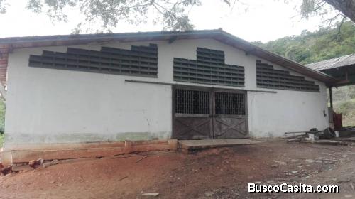 Lismar Ledezma Vende Vende Finca En Montalban, Edo. Carabobo, Ubicada En El Sector Agua De Obispo