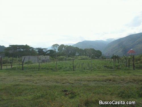 Parcela de 600 m². Ubicada en Boconó (Miticún), Edo. Trujillo. Clima de montaña