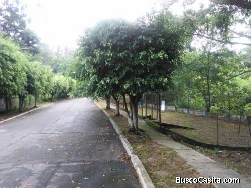 Vendo Twon house en  Naguanagua