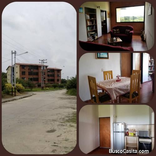 Apartamento oasis de cua amoblado