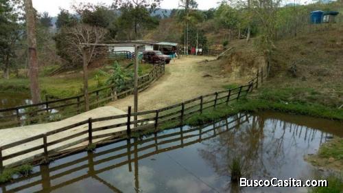 Sky Group Vende Finca Agricola y Ganadera en Bejuma,Edo. Carabobo FOT-252