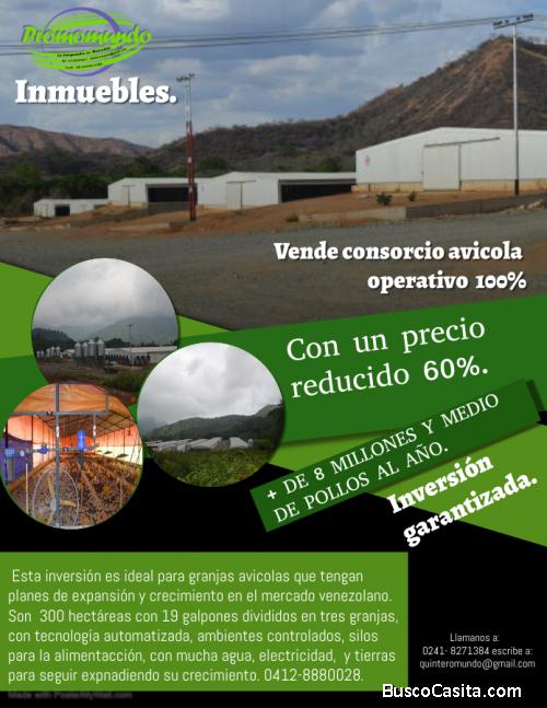 Emporio de  3 granjas avícolas de 9 millones de pollos al año se vende en Maracay Aragua.