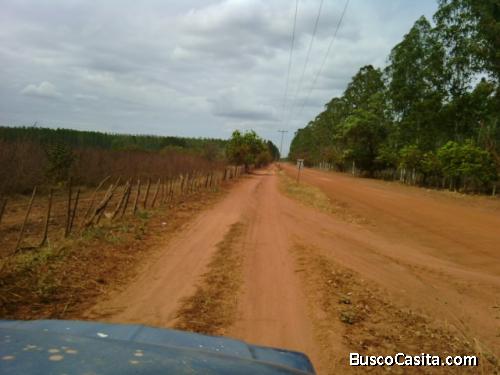 En reserva natural,  cercada ideal para la cría y siembra, cercada  y super seguro. En agropecuaria 