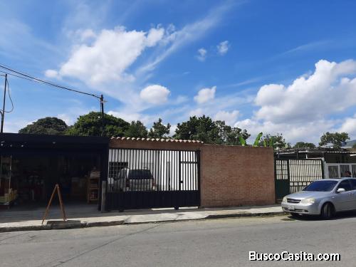 DANIELA TOLOZA SKY GROUP FOCUS FOC-1146