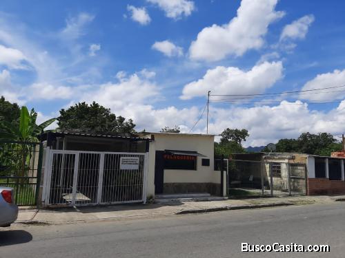 DANIELA TOLOZA SKY GROUP FOCUS FOC-1151