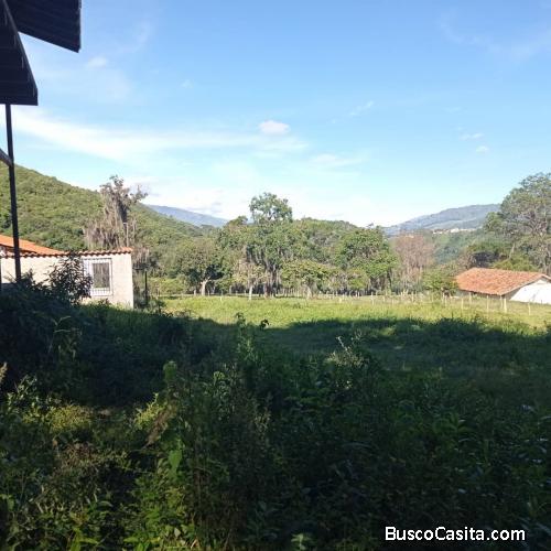 VENDO MI TERRENO EN EL ESTADO MERIDA 4 PARCELAS DE 200 MTS CADA UNA