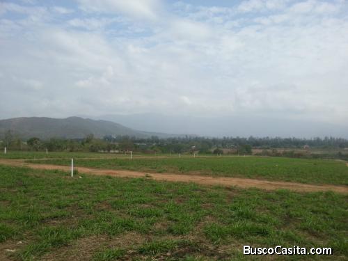 TERRENO BEJUMA ALTOS DE REYES 