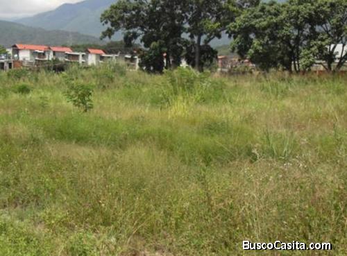 Se vende Quinta con TERRENO en Colinas de Bello Monte