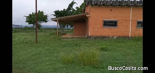Granja ubicada en sector el Trapiche , portuguesa