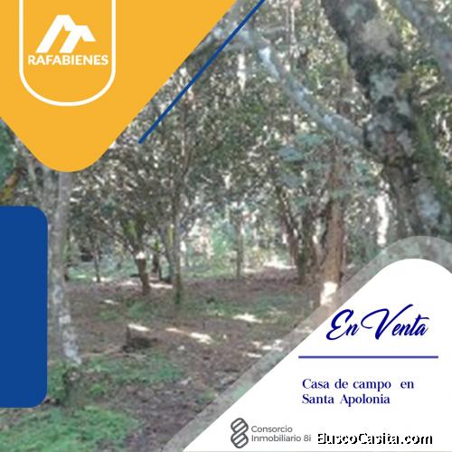 Rafabienes vende casa con 1 Hct de terreno en Santa Apolonia