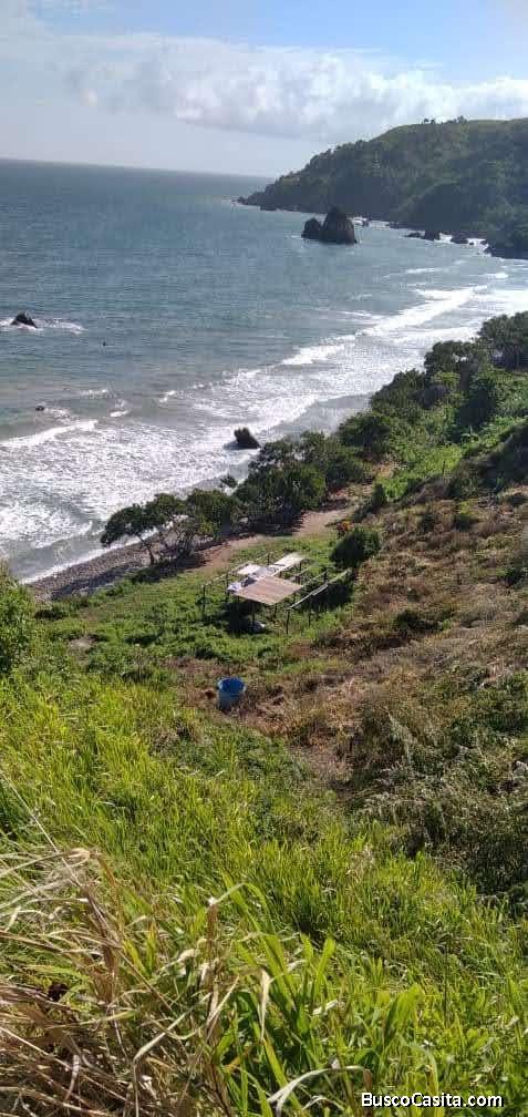 Tiene 4400metro cudrado