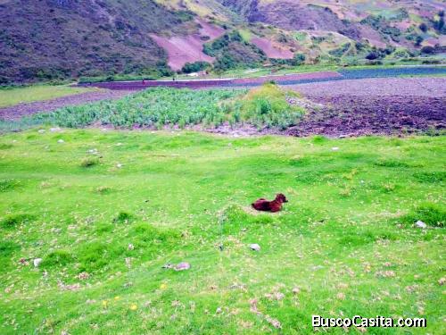 Terreno en el Rincon de La Venta