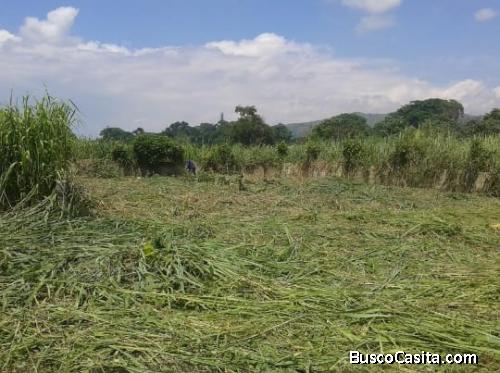 Terreno en Venta en Macomaco, San Diego