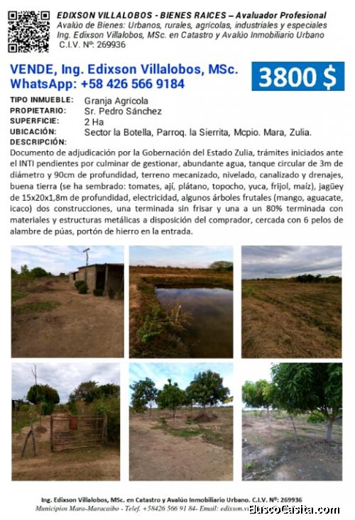 Venta de granja agrícola
