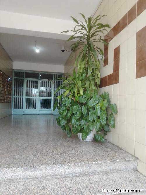 Apartamento amoblado, sector Centro Maracay