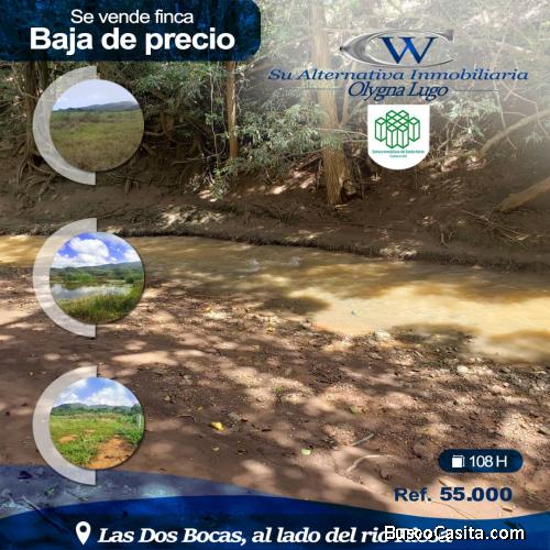 SE VENDE FINCA EN LAS DOS BOCAS, EDO. FALCON