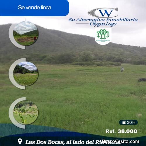 SE VENDE FINCA EN LAS DOS BOCAS, EDO FALCON