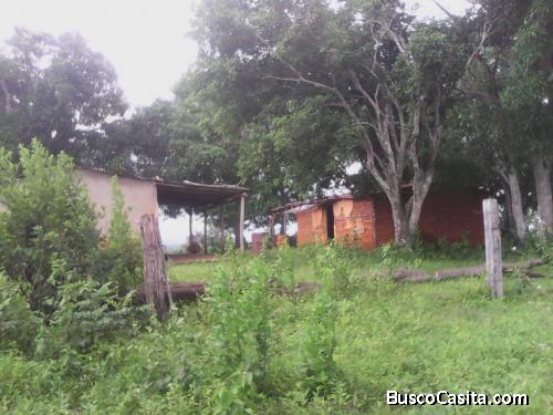 Vendo Finca de 40 hectareas en Buria limites entre Lara y Yaracuy Negociable