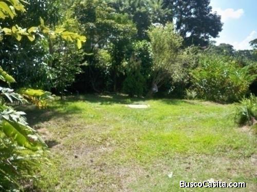 Venta de Casa en la Viña Valencia con amplio Terreno de 760 Metros. Cód. 143225