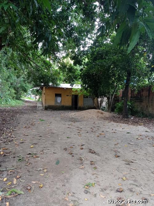 Venta de parcela con bienhechuría en Valle Verde, El Limon