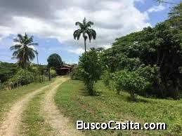 	 Fincas en Varios Estados de Venezuela