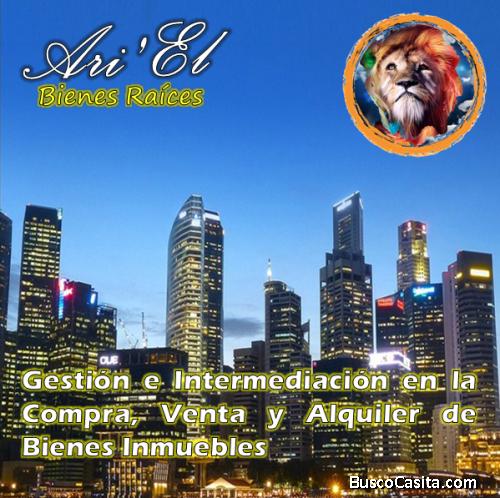 Llévate tu tacita de Oro 