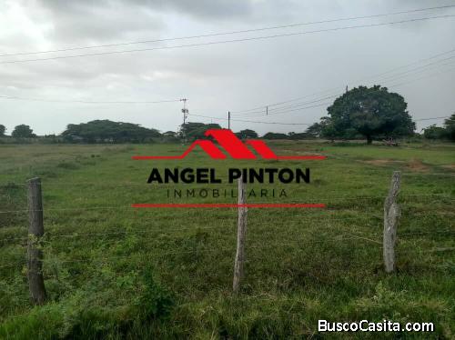 FINCA VENTA QUISIRO API 3056