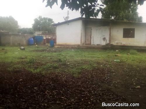 Sky Group Focus Vende cómoda  casa  en Ali Primera