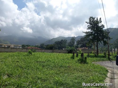 SKY GROUP PLATINUM Vende terreno en Urbanización Villas San Diego.