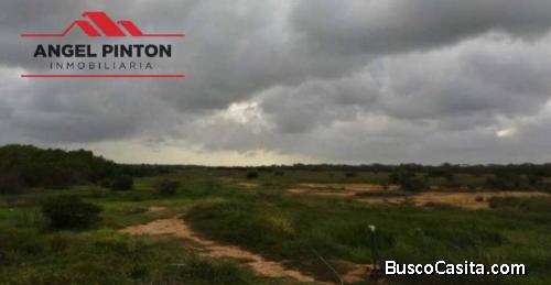 TERRENO VENTA CIUDAD FLAMINGO CHICHIRIVICHE API 6038