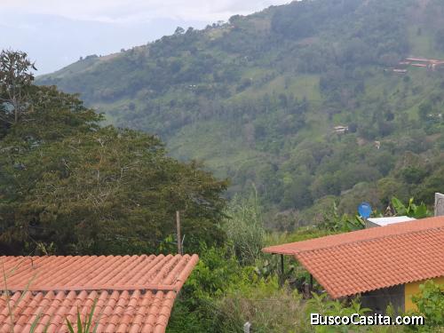 Vendo casa con terreno amplio en portachuelos Merida y otros terrenos.