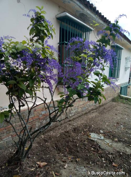 Alquiler de cuarto a dama estudiante o profesional 