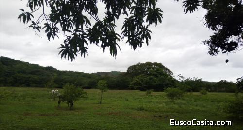 TERRENO AGRICOLA