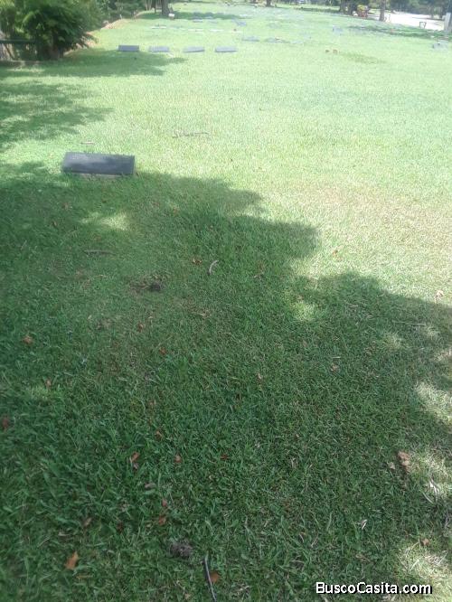 PARCELA EN EL CEMENTERIO DEL ESTE, LA GUAIRITA