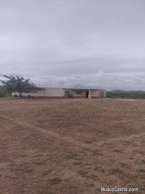 Vendo Granja Avicola