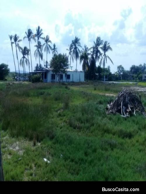 Vendo Terreno en Chichiriviche