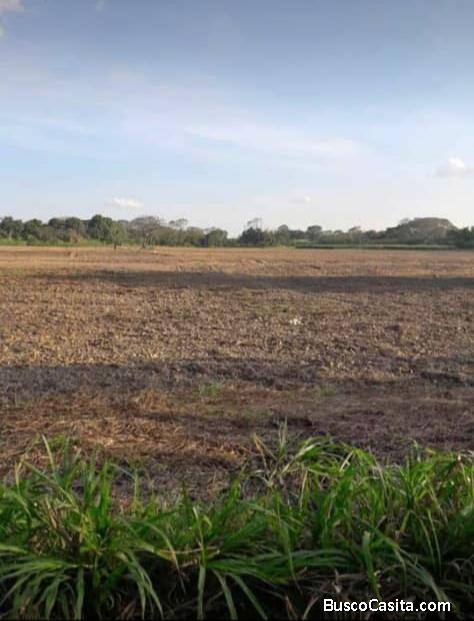 Invierte en 10 hectáreas de terreno, Barinas, Venezuela 
