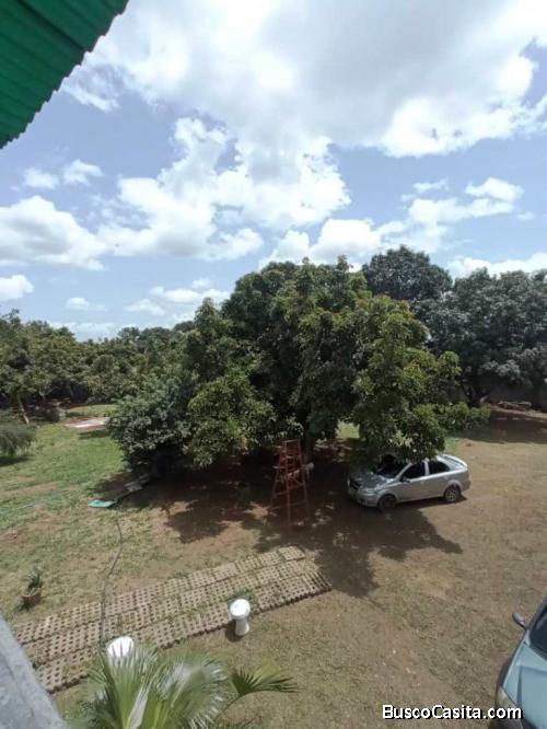 Finca en Tinaquillo