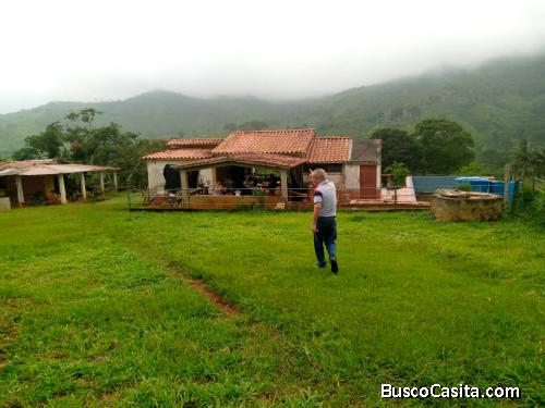 Finca de produccion agircola y ganadera 