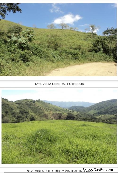 Finca en Nirgua, de 1.000 hect de tierra, totalmente cercadas y divididas en potreros.