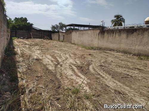 Maria Jose Castro Vende Terreno en guacara