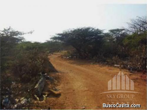 OPORTUNIDA TERRENO UBICADO EN PUNTO FIJO, ESTADO FALCON 