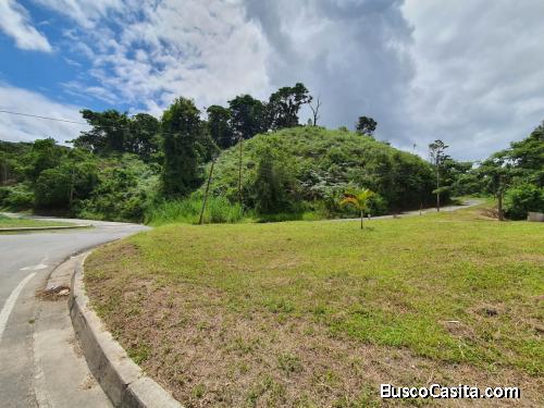 TERRENOURB GUAICAIPURO AV PANAMERICANA MIRANDA LOS TEQUES FOC-T-005