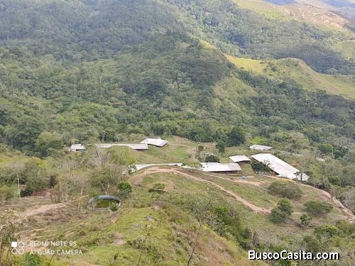 Vendo Granja Doña Dilia en Nirgua Yaracuy