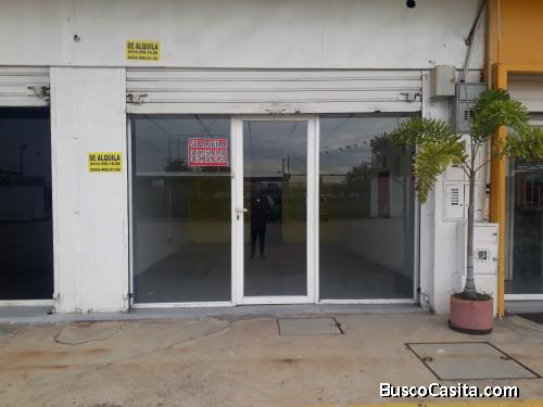 Alquilo Local Comercial de 60x120 Metros Cuadrados