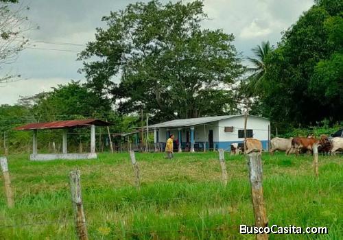 Finca de 27 has en la zona sur del lago 