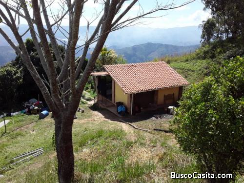 Vendo Parcelas (2 parcelas con 3 inmuebles construidos de 35, 56 y 65 m2)